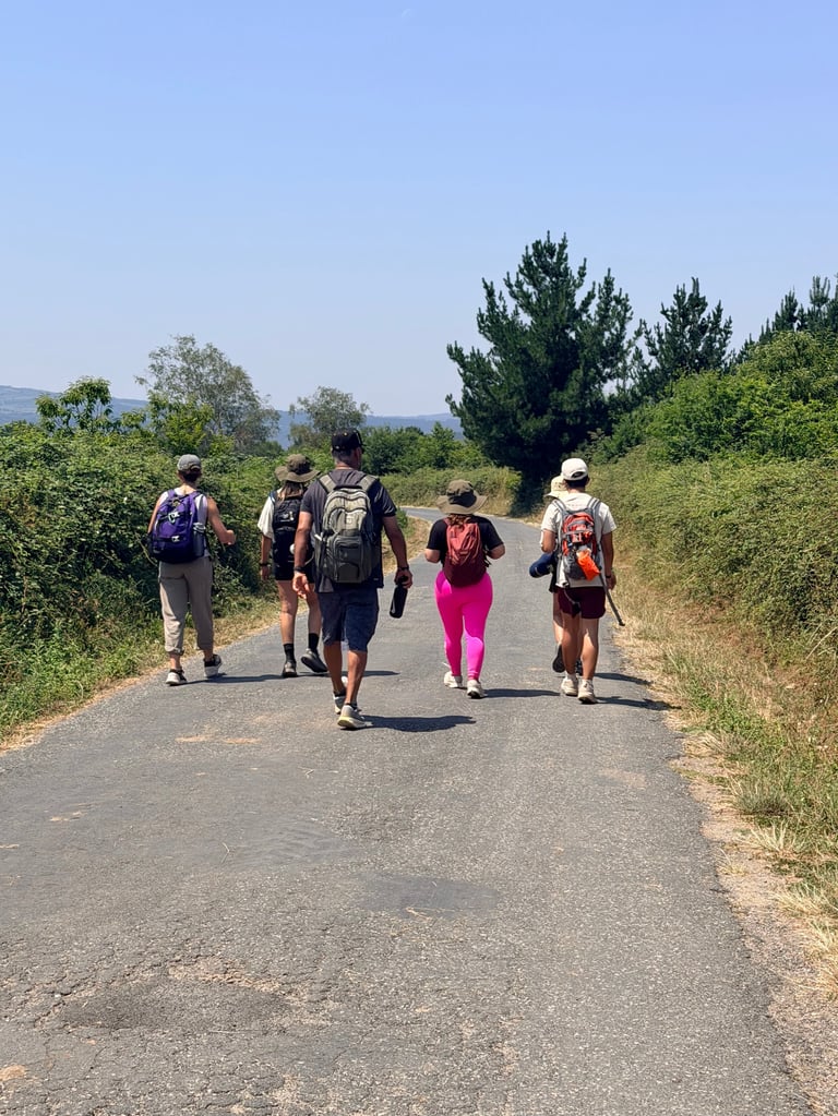 Five hikers walking on a rural road surrounded by green vegetation and trees under clear blue sky